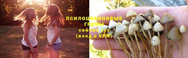 каннабис Абаза