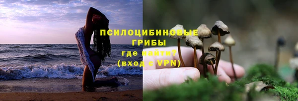 мяу мяу мука Абинск