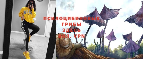 мяу мяу мука Абинск