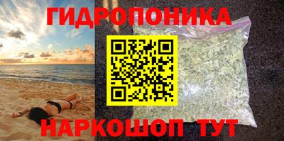 крисы Кунгур