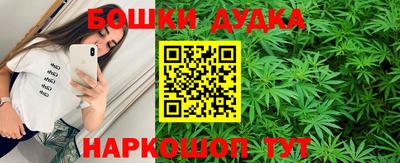 крисы Кунгур