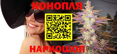 крисы Кунгур